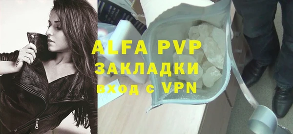 PSILOCYBIN Карталы