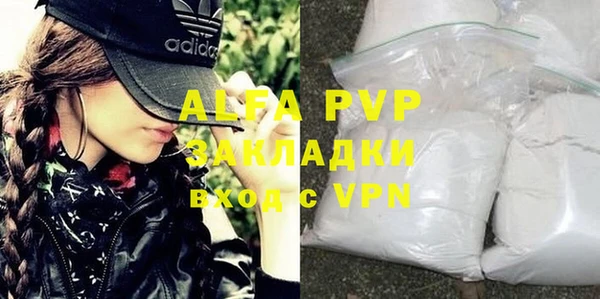 PSILOCYBIN Карталы