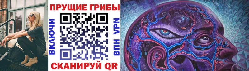 Купить где  Оленегорск  Галлюциногенные грибы Psilocybe 
